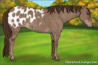 Horse Color:Liver Red Dun Blanket Brindle 