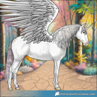 Horse Color:Watercolor Bay Dun Sabino Appaloosa 