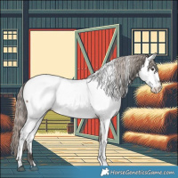 Horse Color:Liver Red Dun Fewspot Brindle