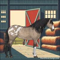 Horse Color:Brown Dun Appaloosa Brindle 