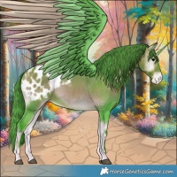 Horse Color:Watercolor Bay Onyx Appaloosa
