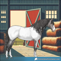 Horse Color:Platinum Brown Dun Appaloosa Brindle 