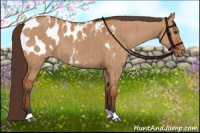 Horse Color:Brown Dun Blanket Brindle 