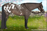 Horse Color:Brown Dun Blanket Brindle 