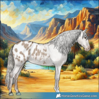 Horse Color:Liver Red Dun Mushroom Appaloosa Brindle 