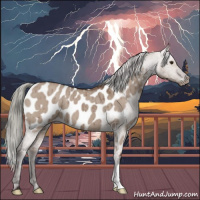 Horse Color:Liver Red Dun Mushroom Blanket Brindle 