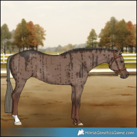 Horse Color:Liver Red Dun Mushroom Brindle 
