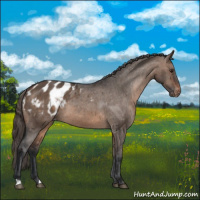 Horse Color:Brown Dun Blanket Brindle 