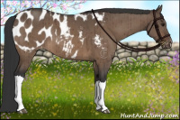 Horse Color:Brown Dun Blanket Brindle 