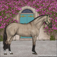 Horse Color:Liver Red Dun Brindle 