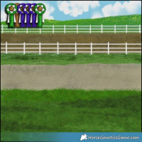 Horse Color:Liver Red Dun Mushroom Appaloosa Brindle 