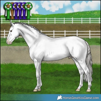 Horse Color:Liver Red Dun Mushroom Appaloosa Brindle 