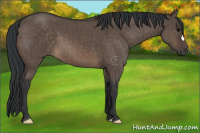 Horse Color:Brown Dun Brindle 