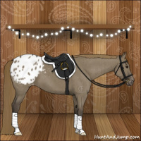Horse Color:Smoky Grullo Appaloosa Brindle 