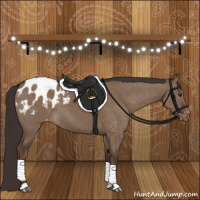 Horse Color:Liver Red Dun Appaloosa 