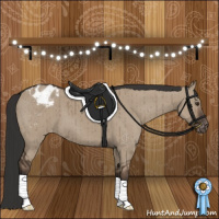 Horse Color:Liver Red Dun Appaloosa Brindle 