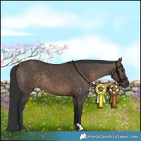 Horse Color:Brown Dun Brindle