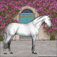 Horse Color:Gray Liver Red Roan 