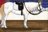 Horse Color:Buckskin Pearl Splash Tobiano Frame 