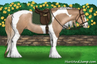 Horse Color:Liver Chestnut Pearl Sabino Tobiano Rabicano 