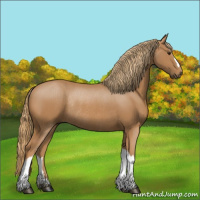 Horse Color:Chestnut Rabicano 