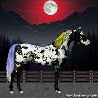 Horse Color:Watercolor Grullo Chinchilla Pearl Sabino
