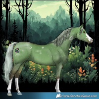 Horse Color:Silver Brown Dun 
