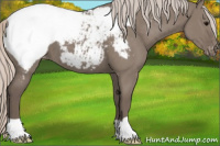 Horse Color:Silver Grullo Snowcap 
