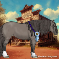 Horse Color:Grullo Appaloosa 