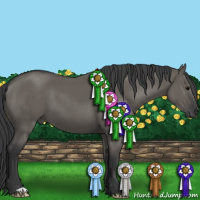 Horse Color:Grullo 
