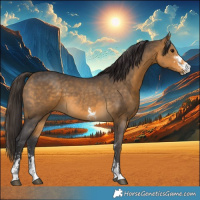 Horse Color:Buckskin Sabino