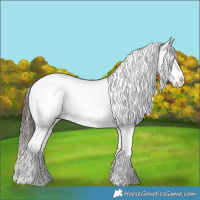 Horse Color:Liver Chestnut Sabino Splash Varnish  and Liver Chestnut Sabino Splash Varnish 