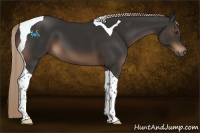 Horse Color:Liver Chestnut Tobiano 