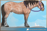 Horse Color:Bay Ice 