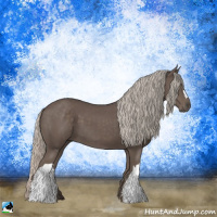 Horse Color:Silver Black 