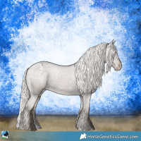 Horse Color:Silver Black Appaloosa
