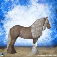 Horse Color:Silver Black Rabicano 