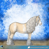 Horse Color:White Spotted Gold Cream Champagne
