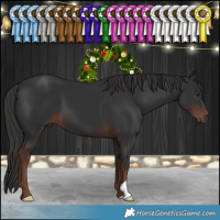 Horse Color:Liver Chestnut 