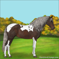 Horse Color:Silver Brown Tobiano