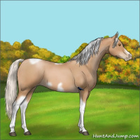 Horse Color:Silver Blue Roan Pearl Tobiano Frame 