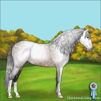 Horse Color:Gray Bay 