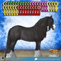 Horse Color:Smoky Black Mushroom Rabicano 