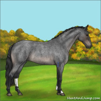 Horse Color:Brown Roan