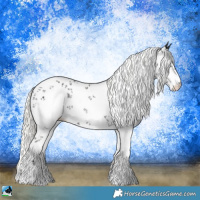 Horse Color:Liver Chestnut Mushroom Sabino Rabicano 