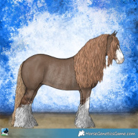 Horse Color:Liver Red Dun Sabino Rabicano