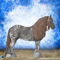 Horse Color:Liver Chestnut Ice Rabicano