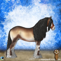 Horse Color:Liver Red Onyx Rabicano