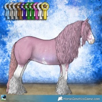Horse Color:Watercolor Red Dun Sabino Rabicano 