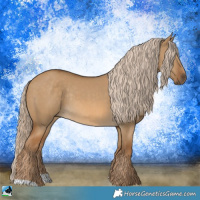 Horse Color:Chocolate Palomino Dun Rabicano 